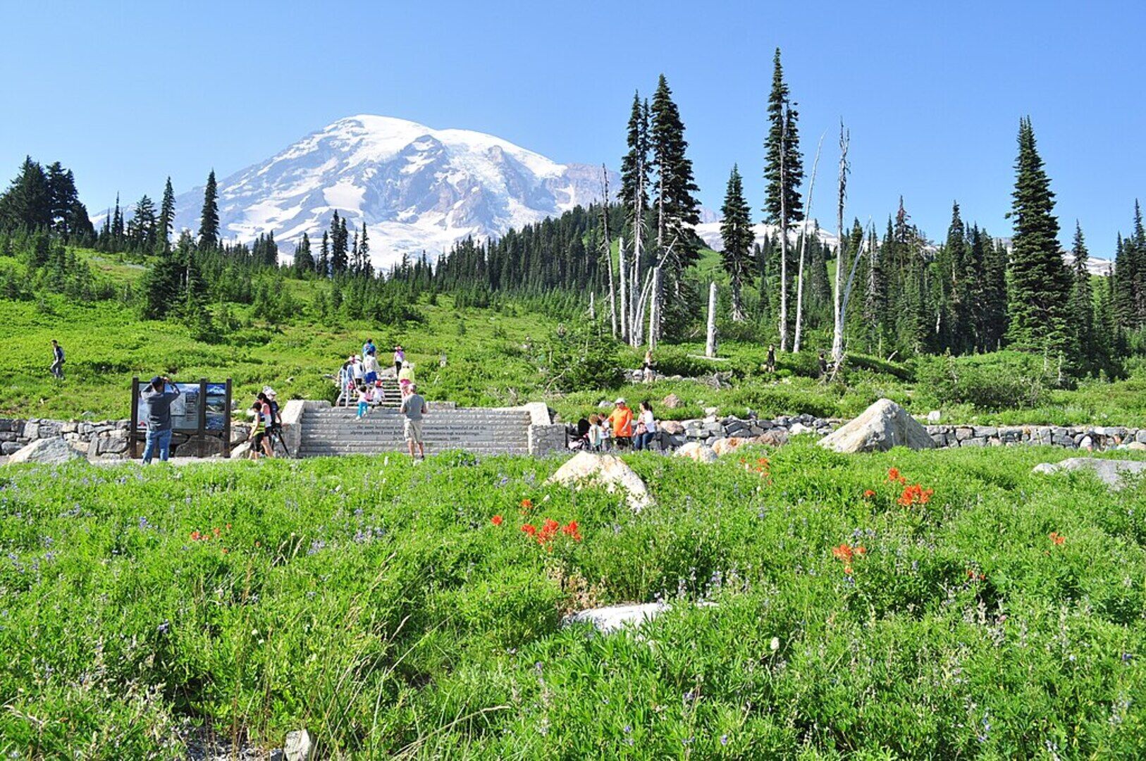 Mount Rainier Hiking Tour